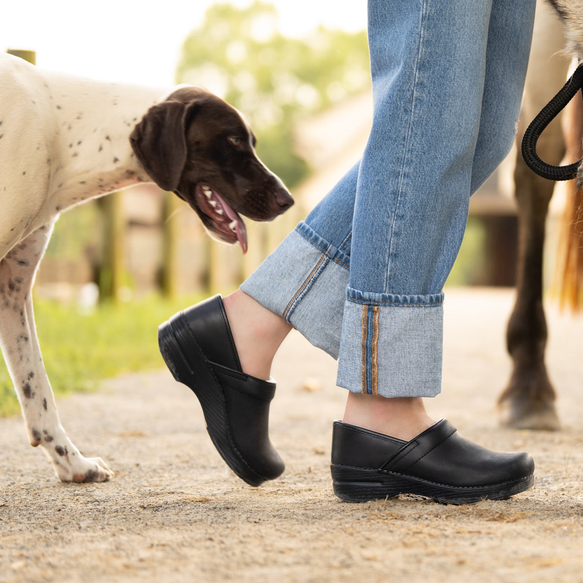 Professional Black Oiled | Dansko Sale