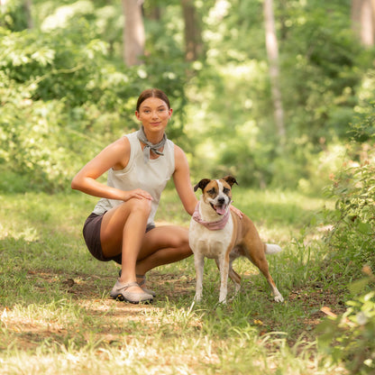 Primrose Taupe Burnished Suede | Dansko Classic