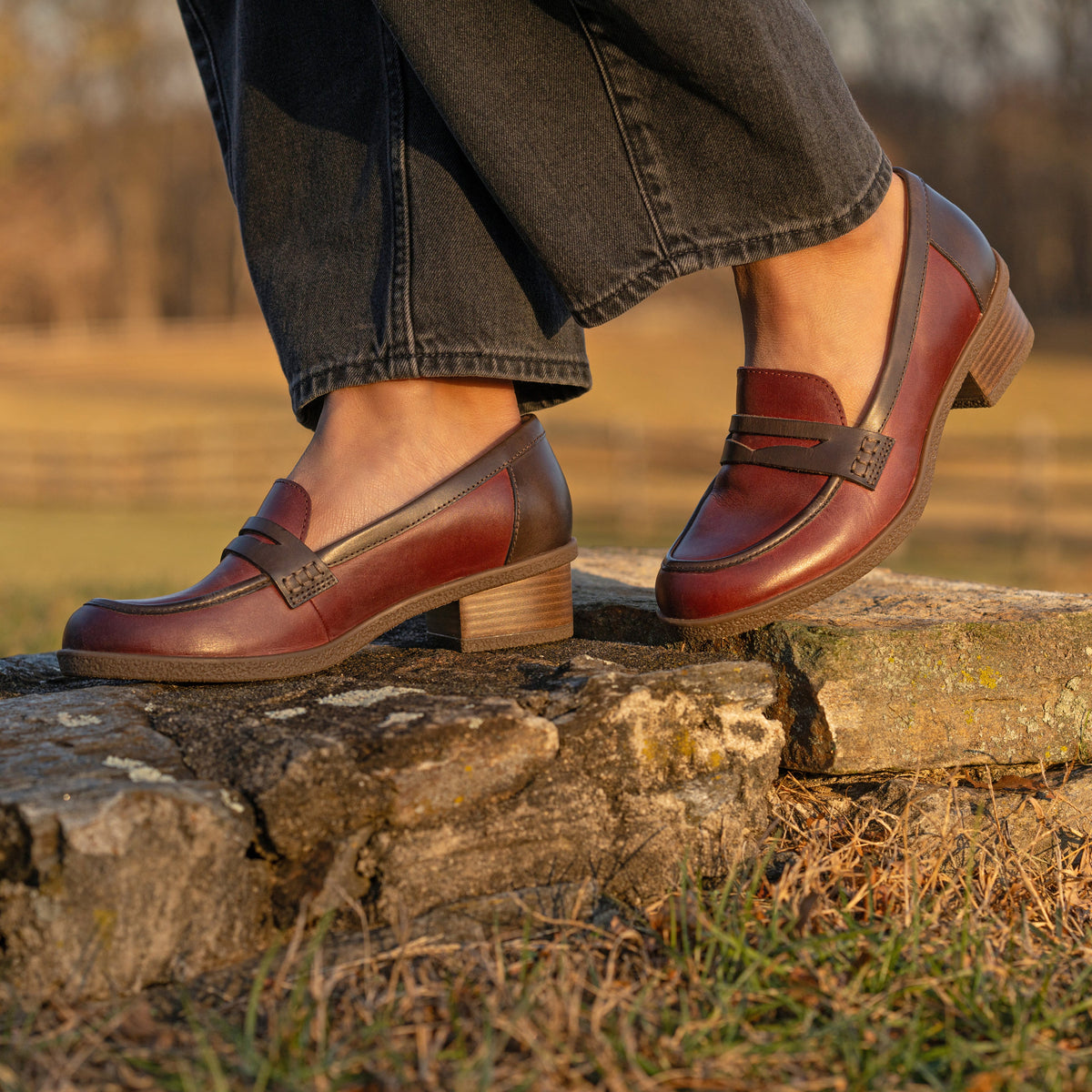 Danica Plum/Chocolate Waterproof Burnished | Dansko Deals
